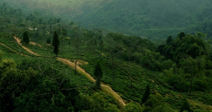 Darjeeling Hill Station