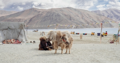 Ladakh Package 1