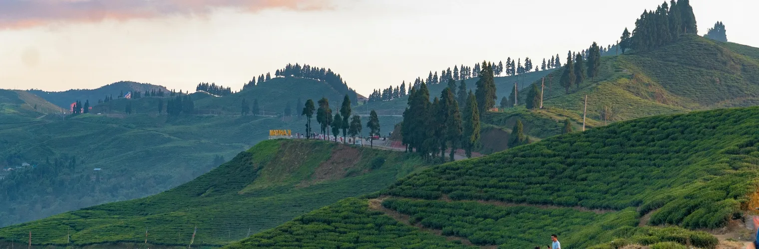 Darjeeling Banner